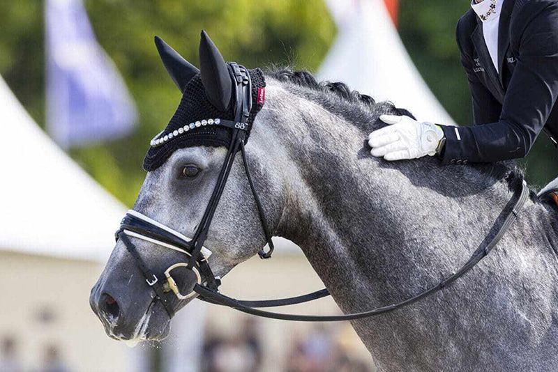Dressage: aperte le iscrizioni per la Finale del Progetto Sport “Fabio Mangilli” e per il Best Rider di Cervia