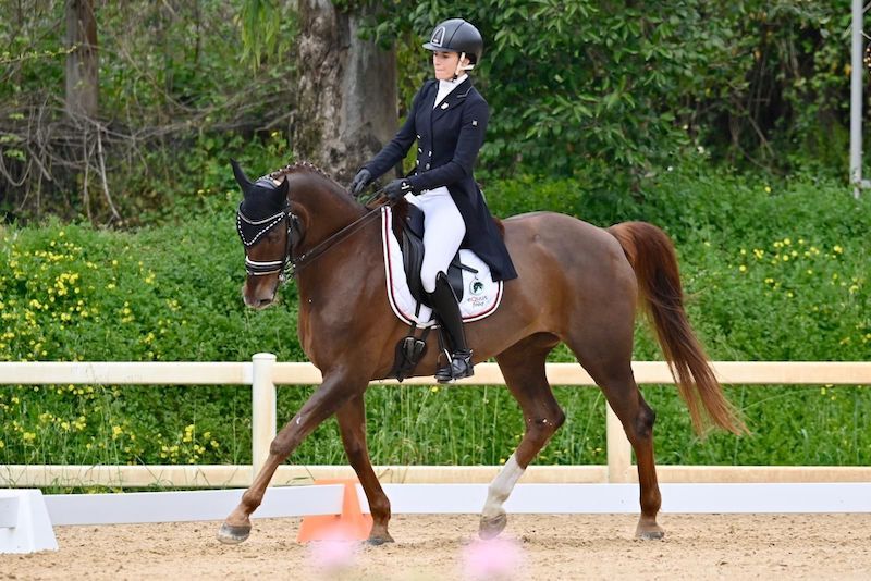 Dressage: a Ornago un Training Day per i Giovani Cavalli 