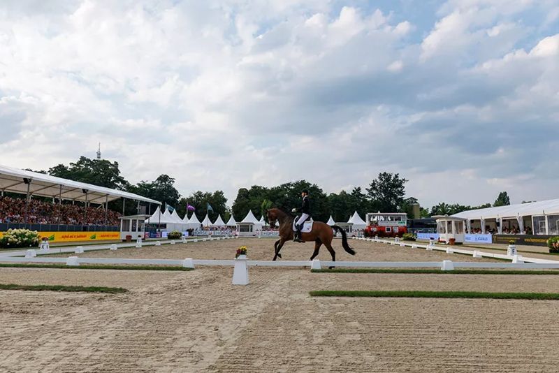 Dressage: iscrizioni nominative per i Campionati del Mondo Giovani Cavalli di Verden