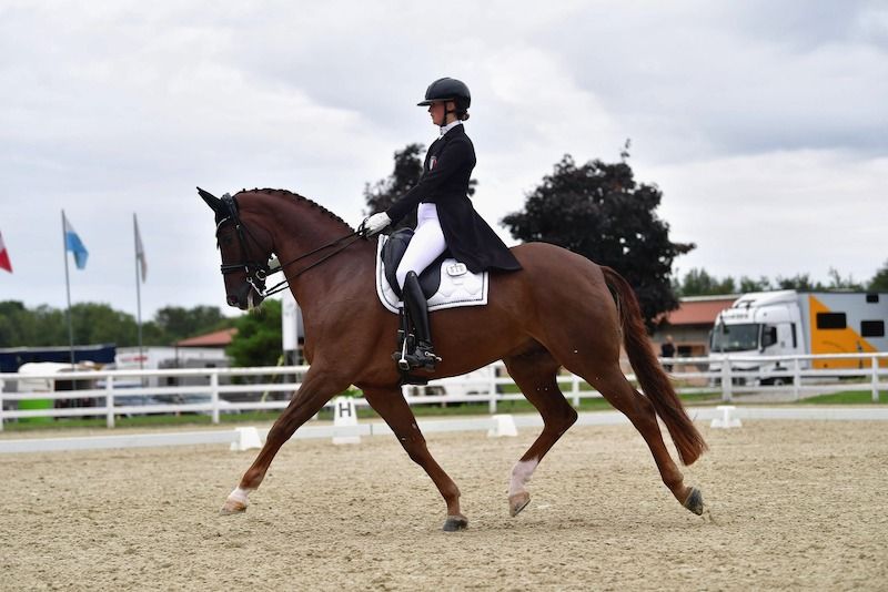 Campionati Italiani Assoluti Dressage DeNiroBootCo e Campionati Italiani Assoluti Paradressage Horse Nutrition: aperte le iscrizioni per l’edizione 2026 