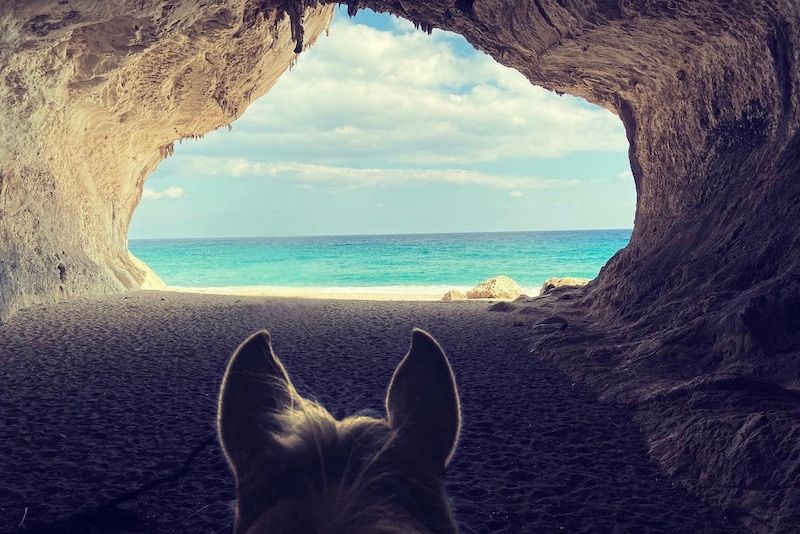 HorsEssence: gli sport equestri approdano in Sardegna per la seconda tappa del progetto dedicato al turismo sostenibile