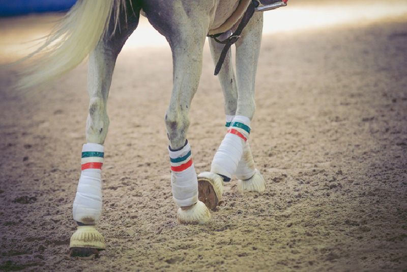 A Le Ginestre di Bienate di Magnago le finali del Campionato Italiano Senior Misto di Horse-Ball