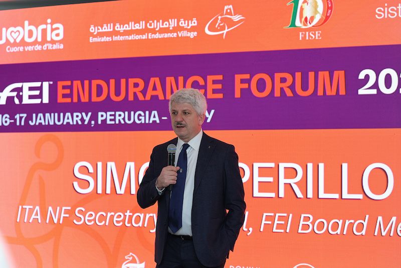 FEI Endurance Forum: l'Italia guida il confronto internazionale su salute e tutela del cavallo