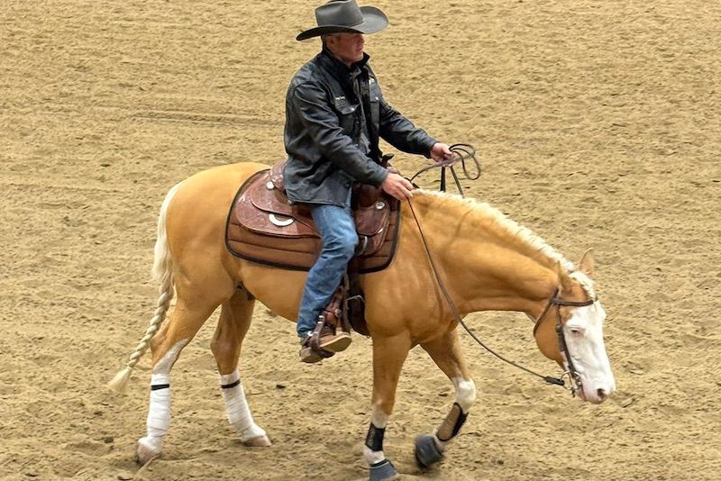 Reining: successo per il Clinic di Casey Deary. Attenzione a formazione, tecnica e benessere del cavallo 