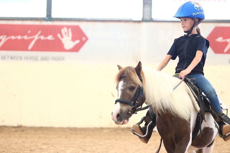 Disponibile il Regolamento di Avviamento al Reining