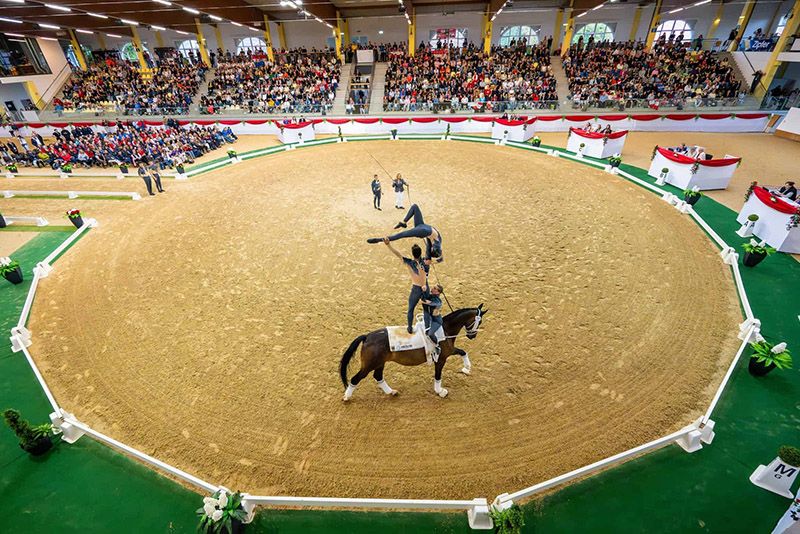 Voulters italiani in gara a Stadl Paura