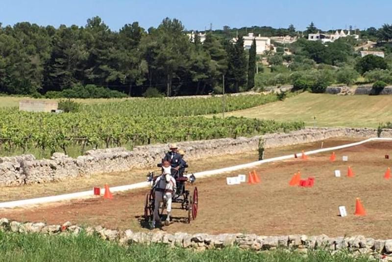 Successo per il corso Giudici di Attacchi di Tradizione