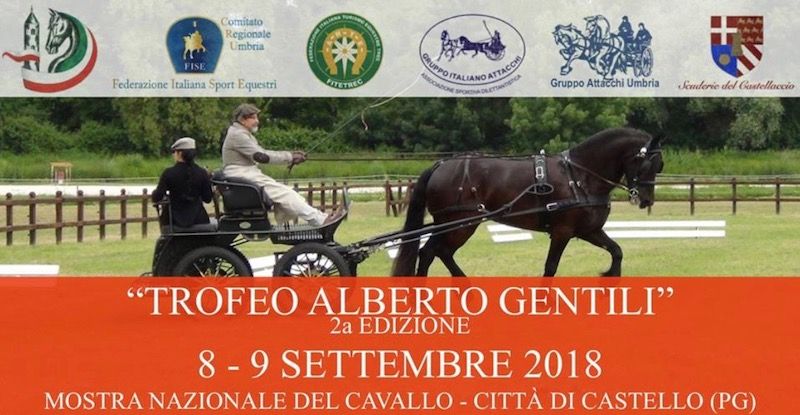 A Citta di Castello un “Concorso di Sviluppo”
