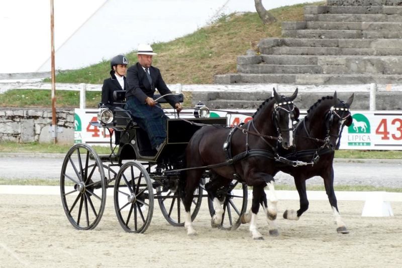 Trasformazione categoria Pariglie Fieracavalli