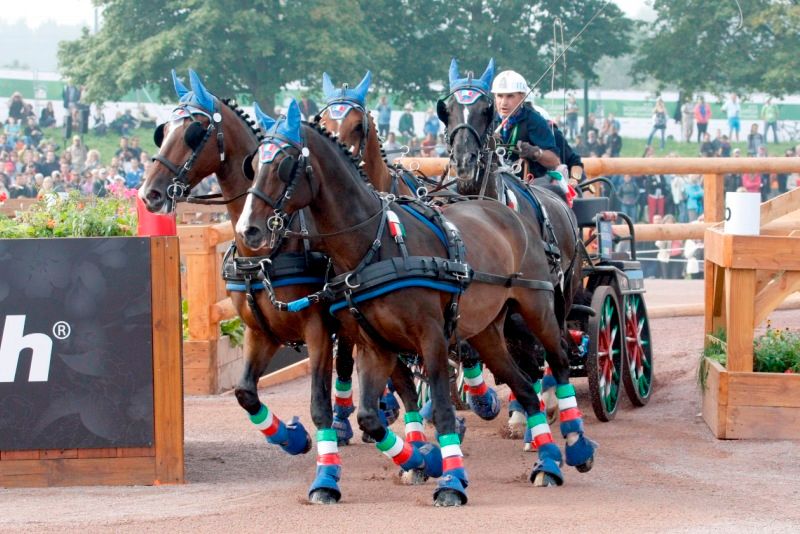 Mondiali Tiri a quattro. Mascheroni al via a Breda