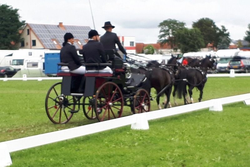 Conclusi i Mondiali pony di Minden