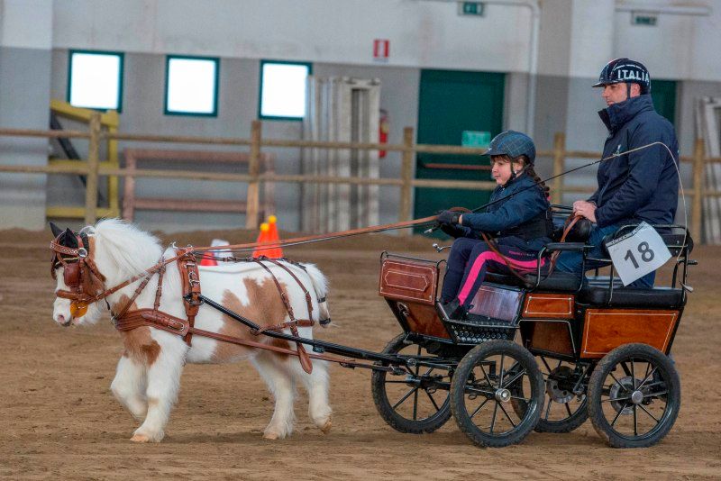 Successo per la terza tappa del Trofeo Derby a Travagliato