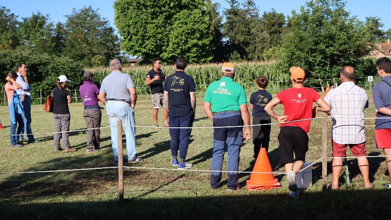 Stage Cividini Emilia