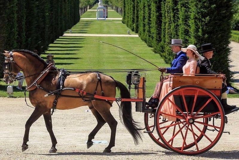 Grande spettacolo alla Reggia di Venaria