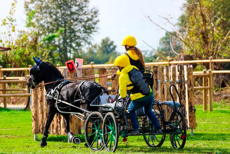 Assegnate le medaglie dei Campionati Italiani Completo Attacchi
