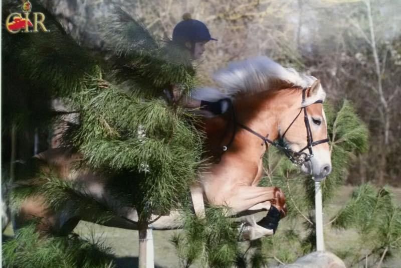 Ecco i qualificati per la Coppa Campioni