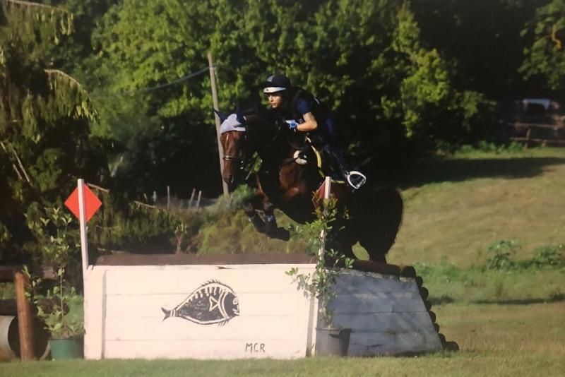 On line la classifica aggiornata a luglio del Trofeo Cavallo Italiano MIPAAFT