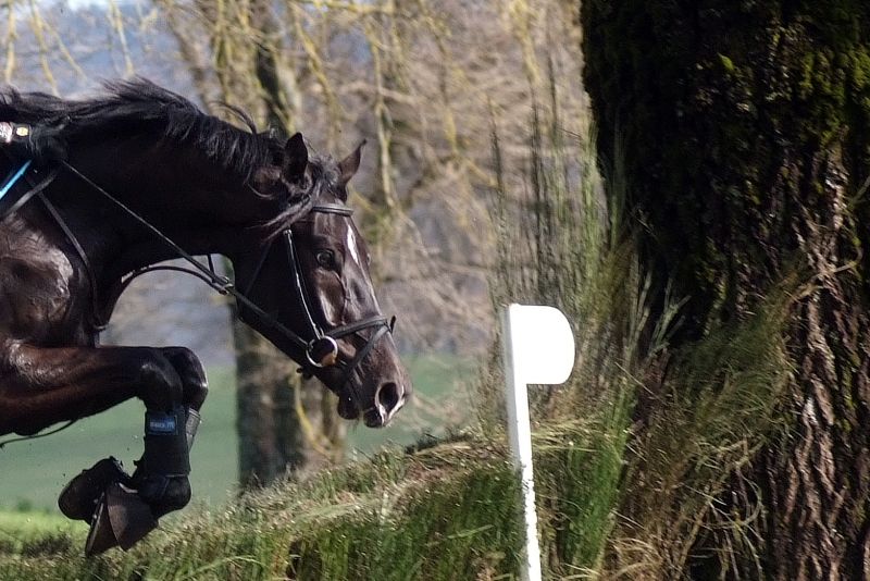 Torlonia e Panizzon al Wellington International Horse Trials