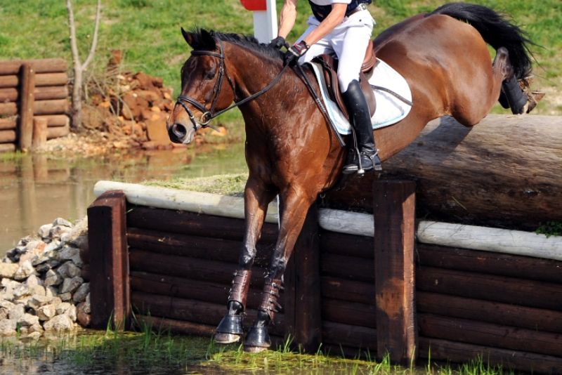 Concorso Completo: i binomi per i Training Day Giovani Cavalli (6 e 7 anni) ai Pratoni del Vivaro e a Verolanuova