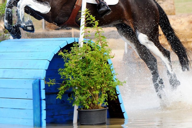 Completo internazionale a Palmanova con in palio i titoli per i giovani cavalli di 6 e 7 anni