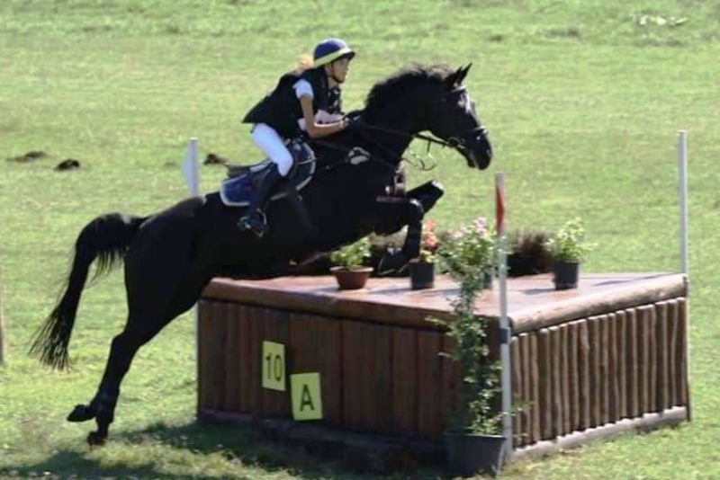 On line la classifica provvisoria del Trofeo Cavallo Italiano MIPAAFT