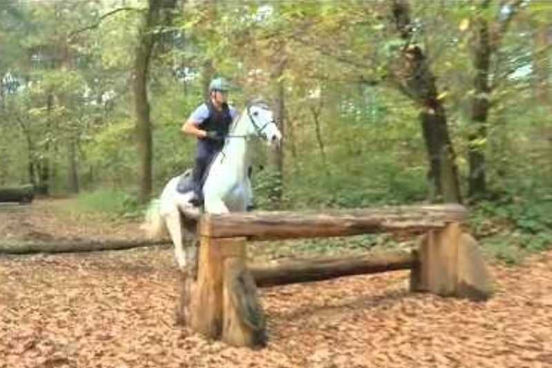 Pietro Grandis in Germania