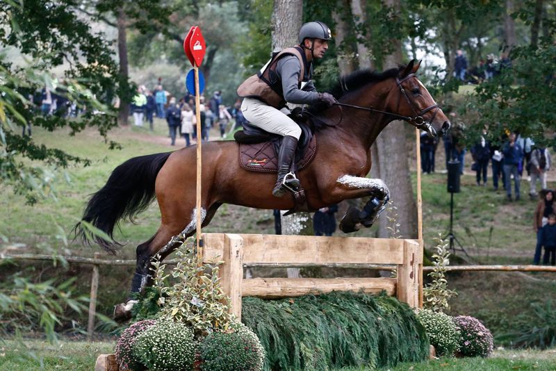 Mondial du Lion: i piazzamenti dei cavalli italiani in gara