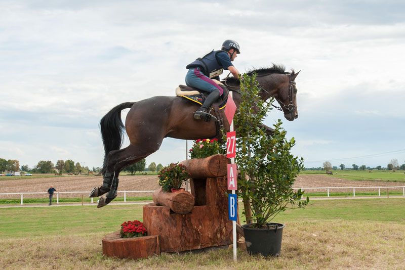 WEG2018: Completo. Ecco il Team Italia per Tryon