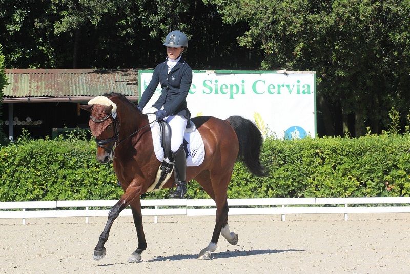 Aggiornamento calendario Dressage – eventi federali anno 2020
