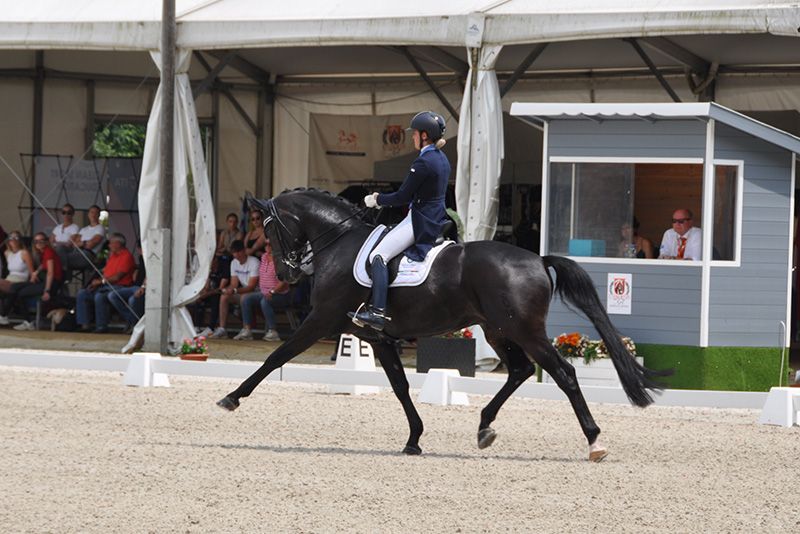 Dressage: Campionati d’Europa Young Riders e U25 – Day#1