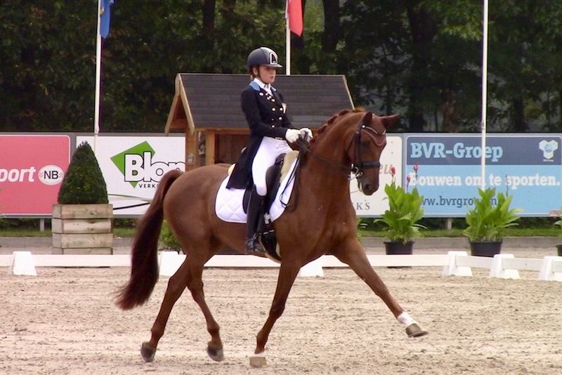 Criteri di selezione per la scelta dei binomi del Team Azzurro ai Campionati Europei Giovanili e Pony