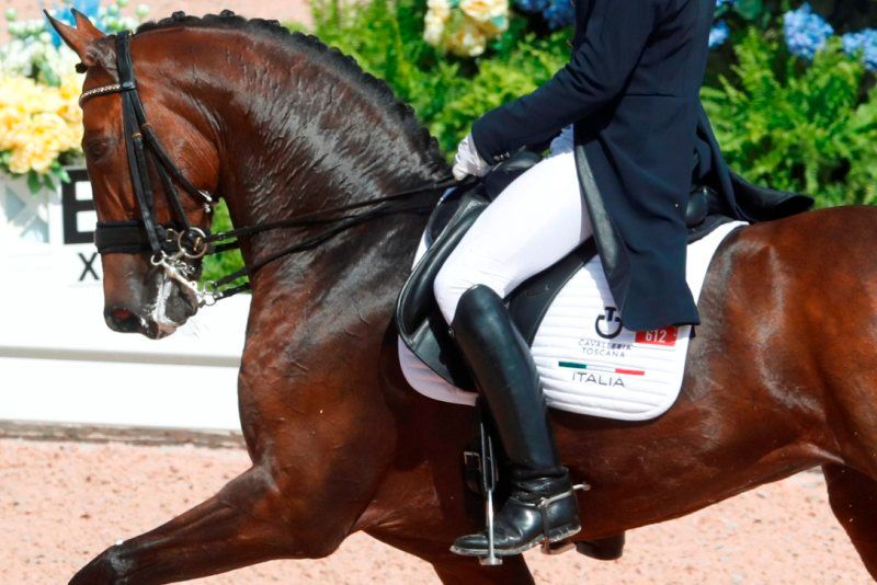 Inoltrate le iscrizioni nominative per i Campionati del Mondo Cavalli Giovani