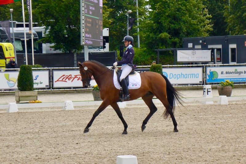 Al via le iscrizioni per il CDI Pony, Children, Junior, Young Rider, Young Horses di Arezzo