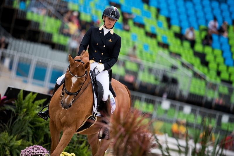 Chiuse le iscrizioni al Dressage Forum FISE 2017