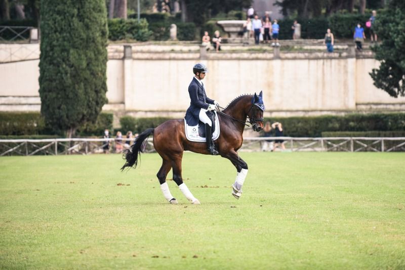 Disponibile il Programma 2021 del Dipartimento Dressage settore Internazionale e Nazionale alto livello