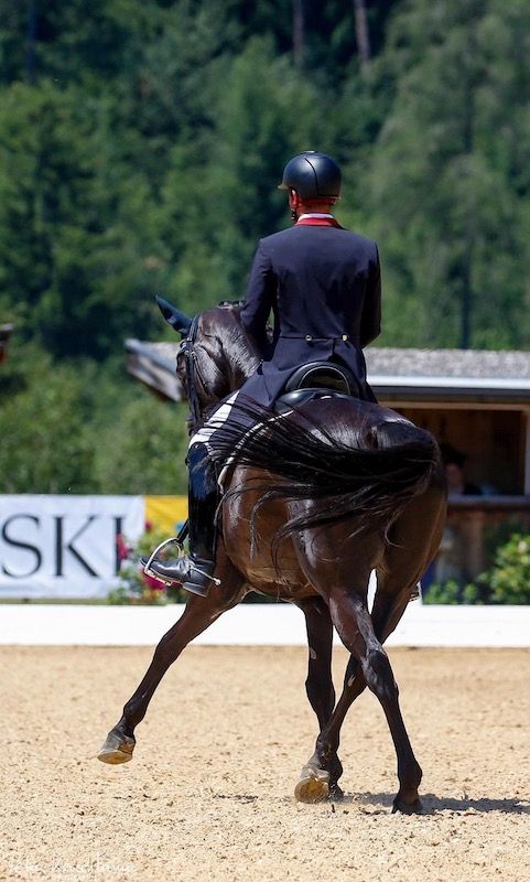 FEI World Cup™: Amsterdam. Il risultato di Zaza nel GP Freestyle