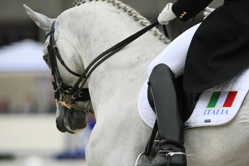 Trasferte a Jardy e Achleiten per gli azzurri del dressage
