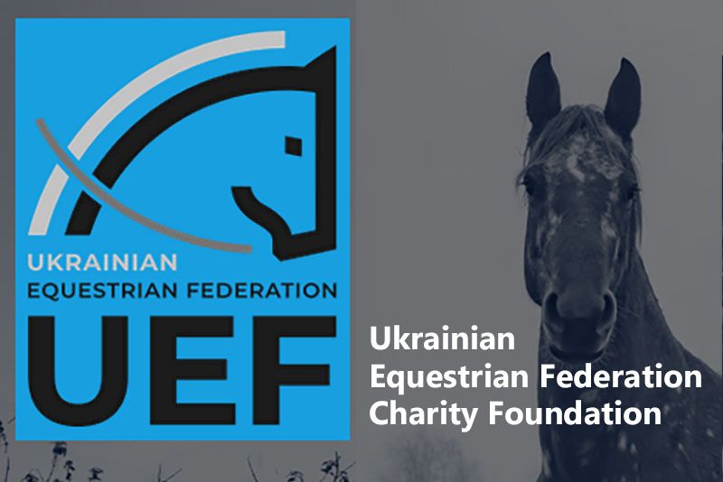 Creato un hub in Polonia per la gestione degli aiuti a sostegno della comunità equestre ucraina