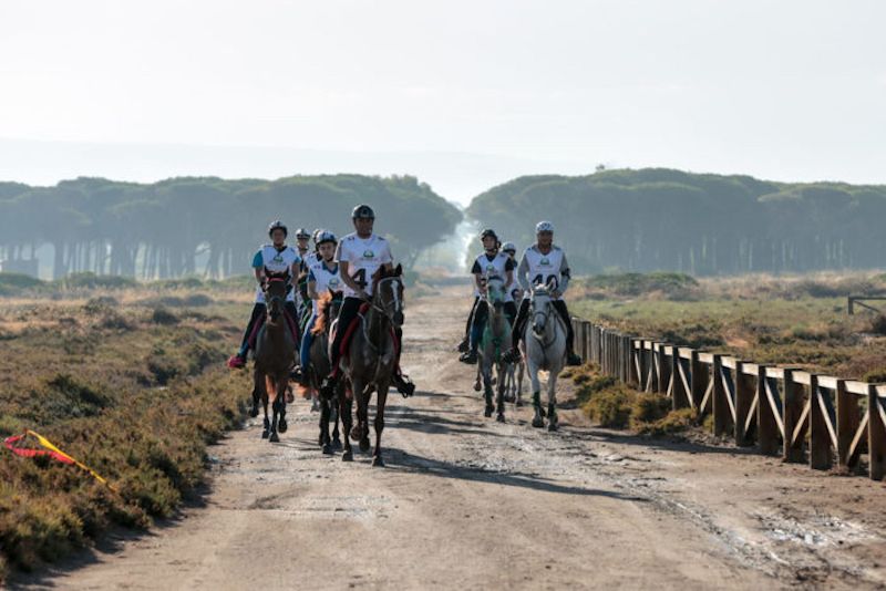 1° Workshop di Endurance: ecco il programma