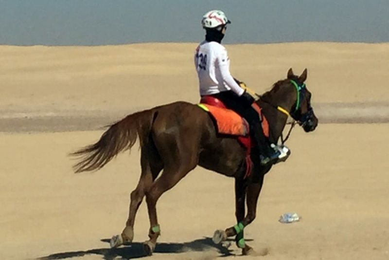 Onore per le azzurre in gara nella Dubai Crown Prince Endurance Cup