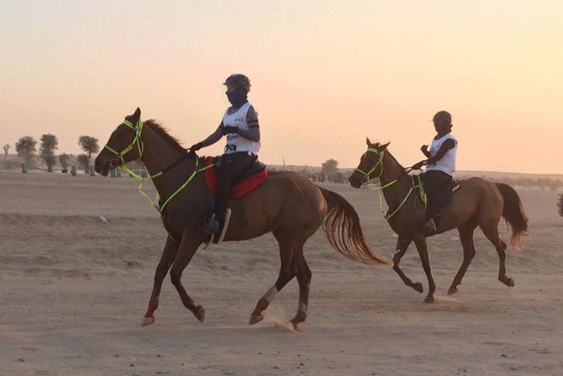 H.H. The Presidents of United Arab Emirates Cup, sono sette gli azzurri al via