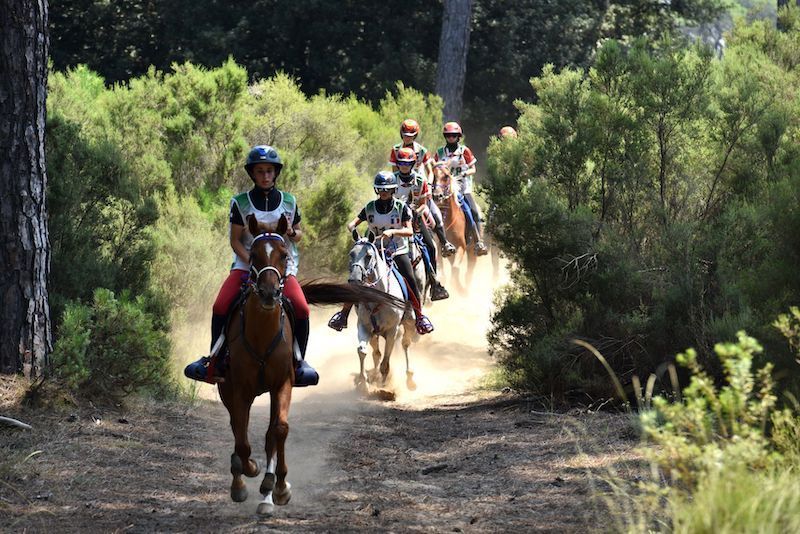 Nuove nomine nel Dipartimento Endurance per il 2025