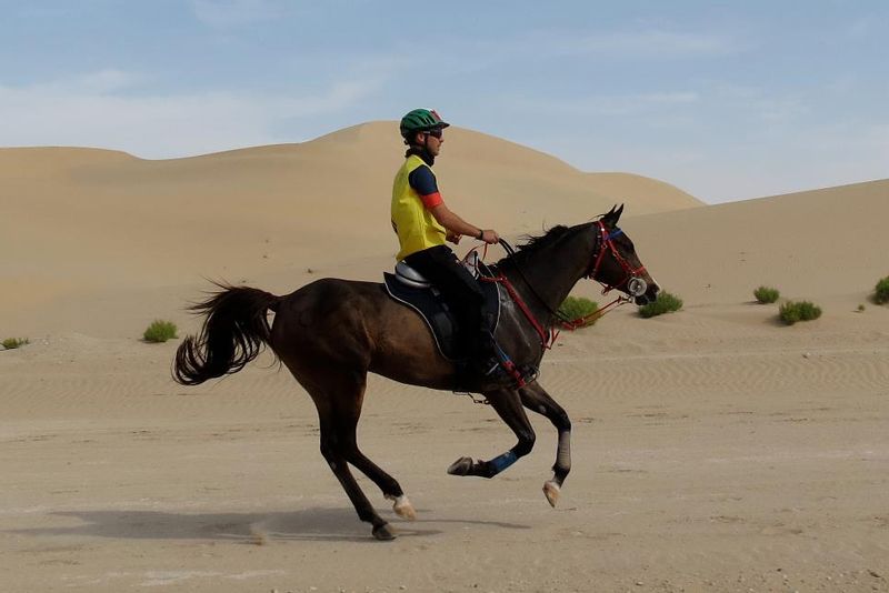 Cavalieri italiani al via nella 120 chilometri di Al Wathba 