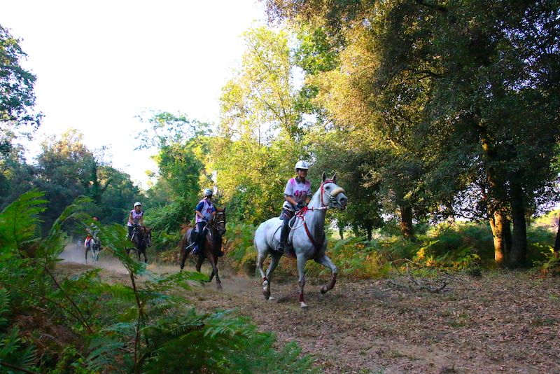 Campionati del Mondo di San Rossore: saranno 35 le nazioni al via