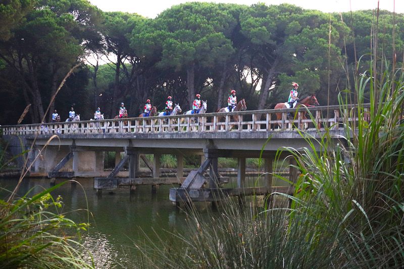 FEI Endurance World Championship: guarda la diretta della cerimonia d’apertura 