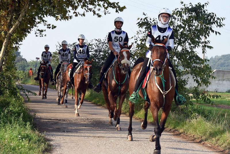 Campionati del Mondo Junior e Young Rider: “en plein” degli Emirati Arabi a Valeggio sul Mincio