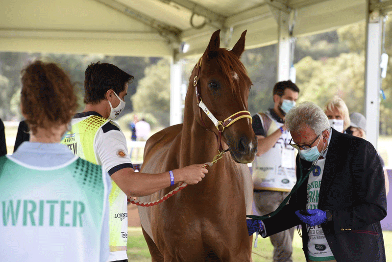 Endurance: nuova procedura di rilevazione frequenza cardiaca