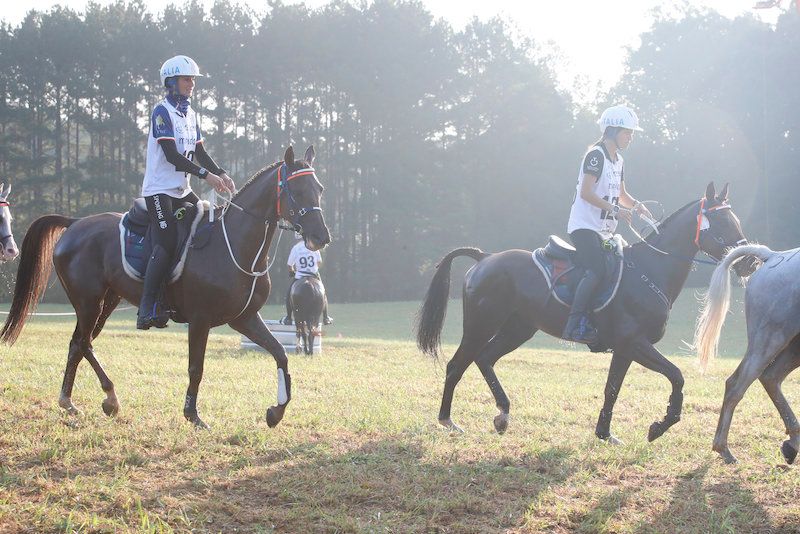 Endurance, stage Promozione e Sviluppo Pony 17/19 maggio 