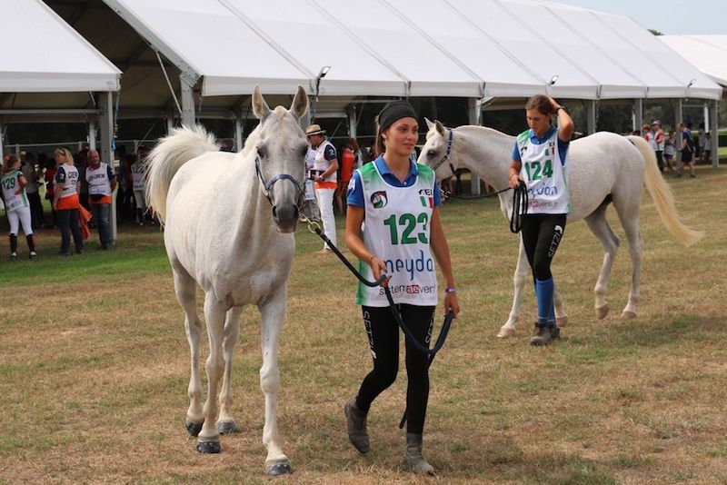 Toscana Endurance Lifestyle: giovani d'Europa a caccia di medaglie