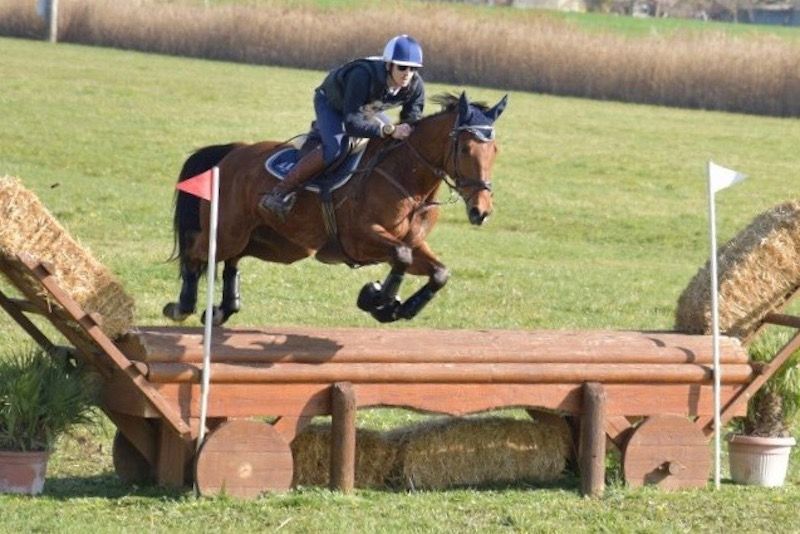 Progetto Sport Country-Jumping: successo al New-Trekking Horse